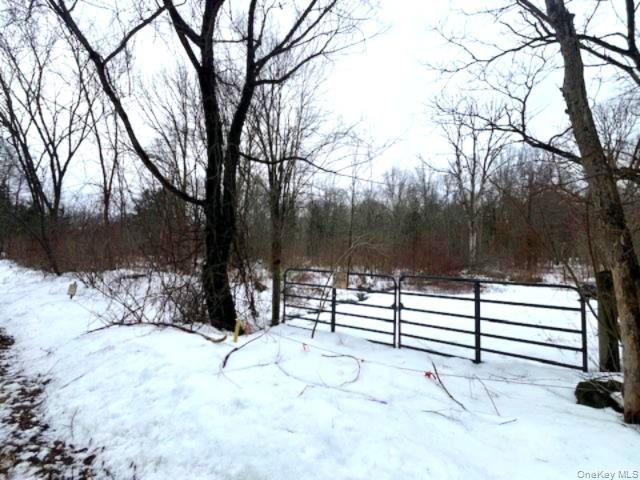 #1 photo, 40 Lo Presti Road, 纽约州 Middletown , NY 10940