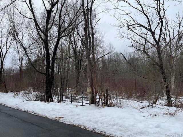 #2 photo, 40 Lo Presti Road, 纽约州 Middletown , NY 10940