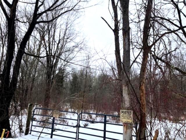 #4 photo, 40 Lo Presti Road, 纽约州 Middletown , NY 10940