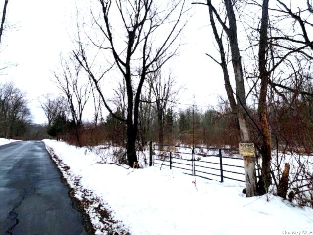 #5 photo, 40 Lo Presti Road, 纽约州 Middletown , NY 10940