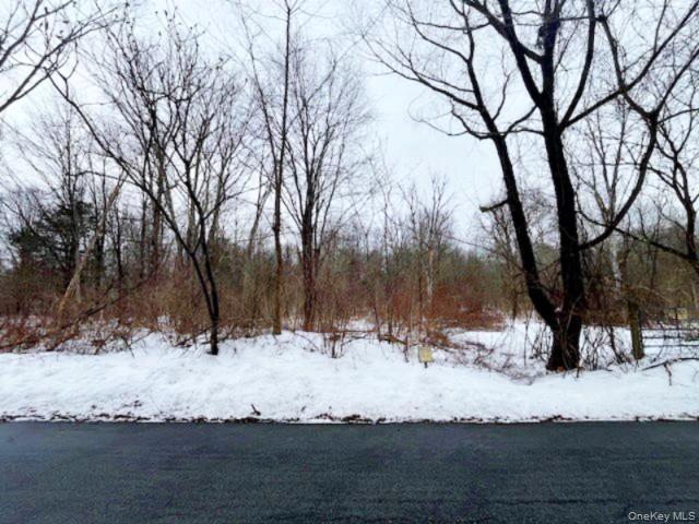 #7 photo, 40 Lo Presti Road, 纽约州 Middletown , NY 10940