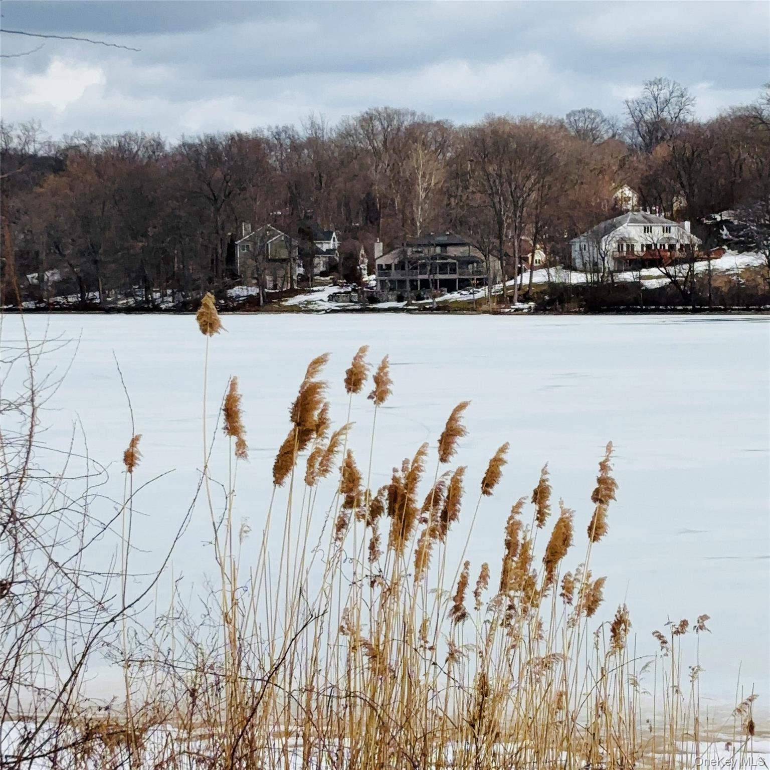 #14 photo, Between 229 and 231 Westchester Avenue, 뉴욕주 Buchanan , NY 10511