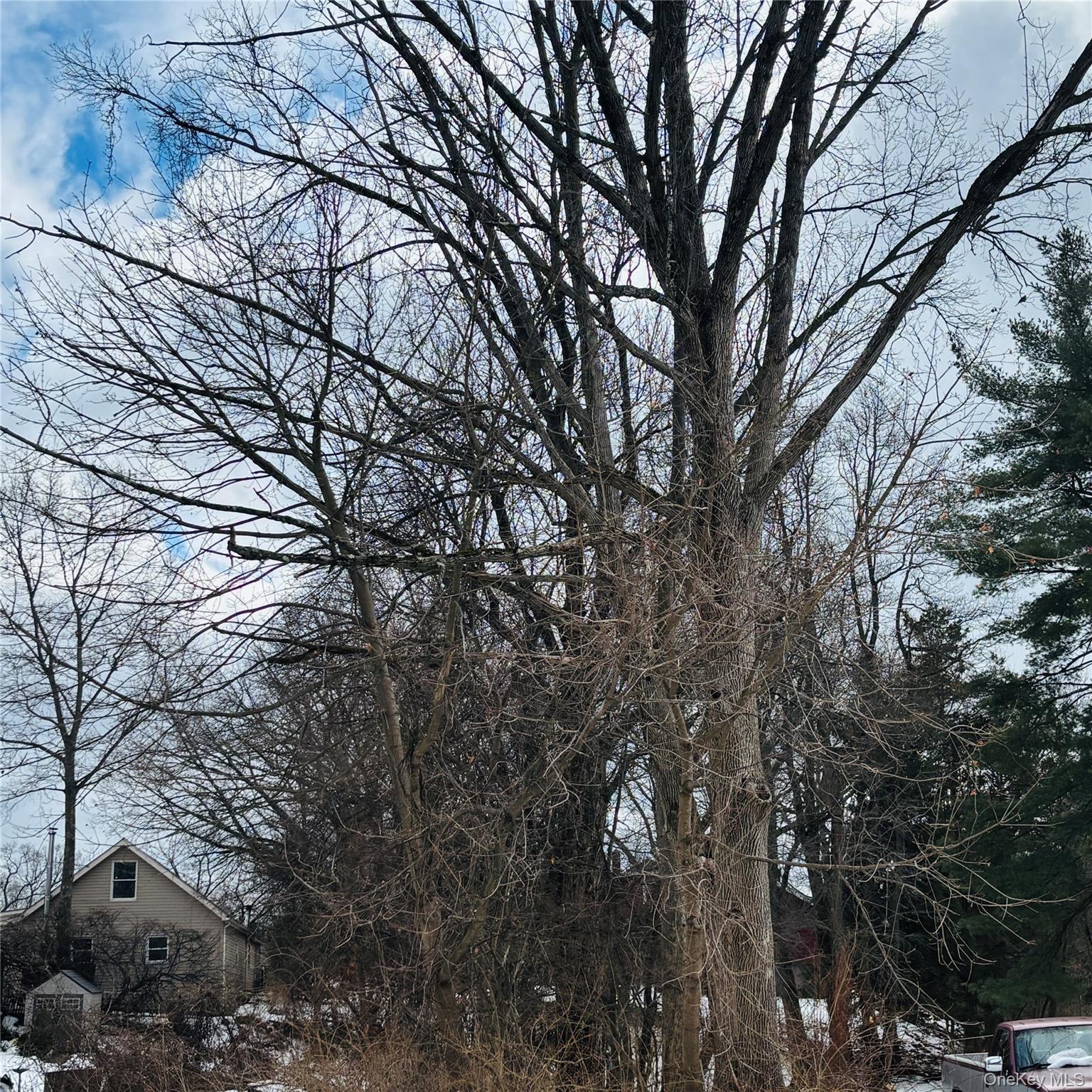 #3 photo, Between 229 and 231 Westchester Avenue, 뉴욕주 Buchanan , NY 10511