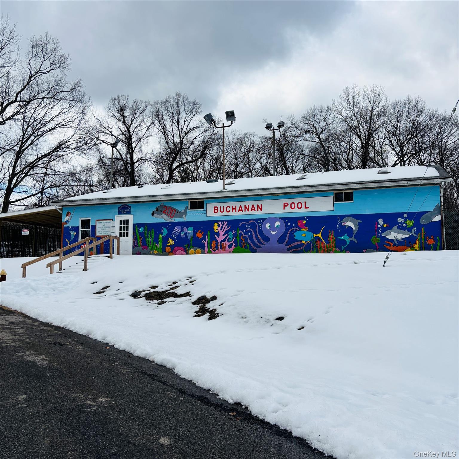 #8 photo, Between 229 and 231 Westchester Avenue, 뉴욕주 Buchanan , NY 10511