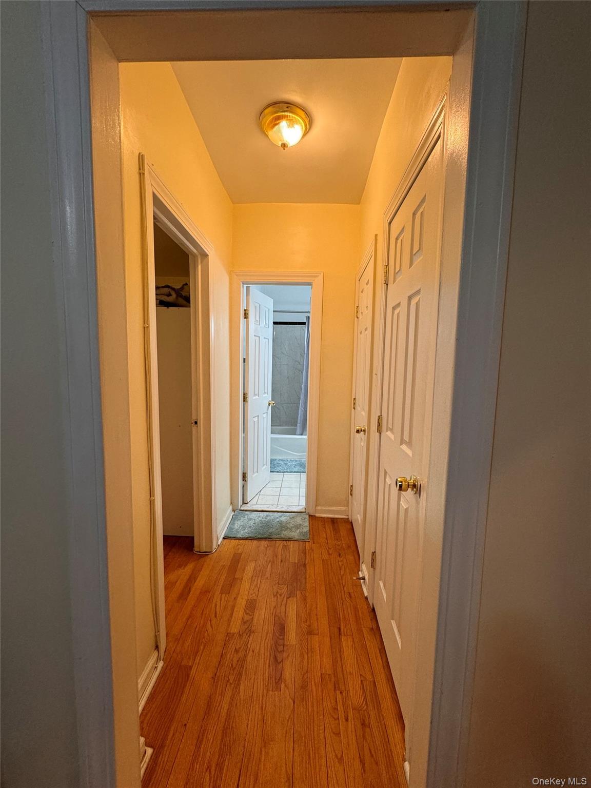 #7 photo, 62-64 Saunders Street, Rego Park , NY 11374