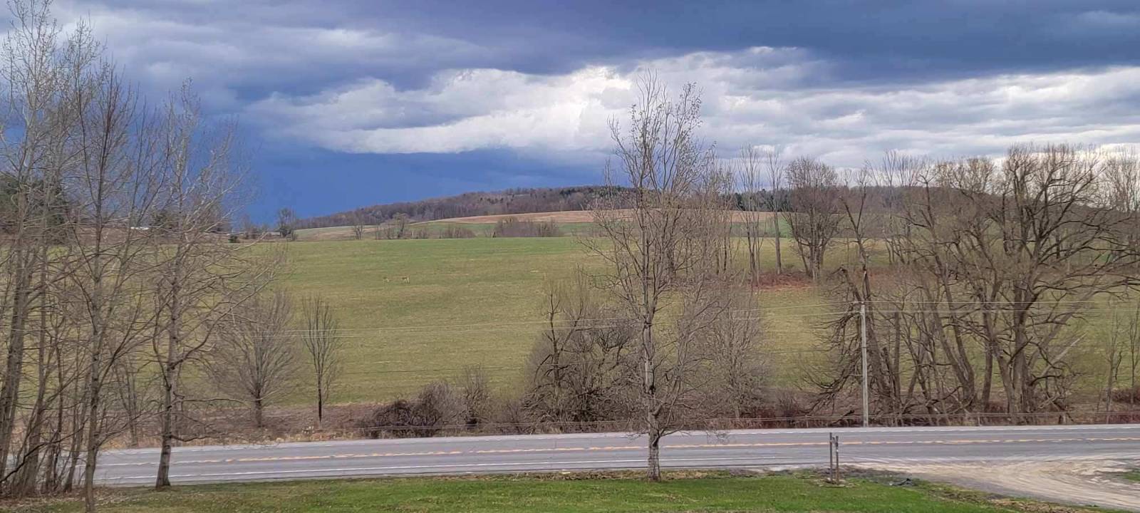 #4 photo, 127 Hidden Acres Dr., Richfield Springs , NY 13439