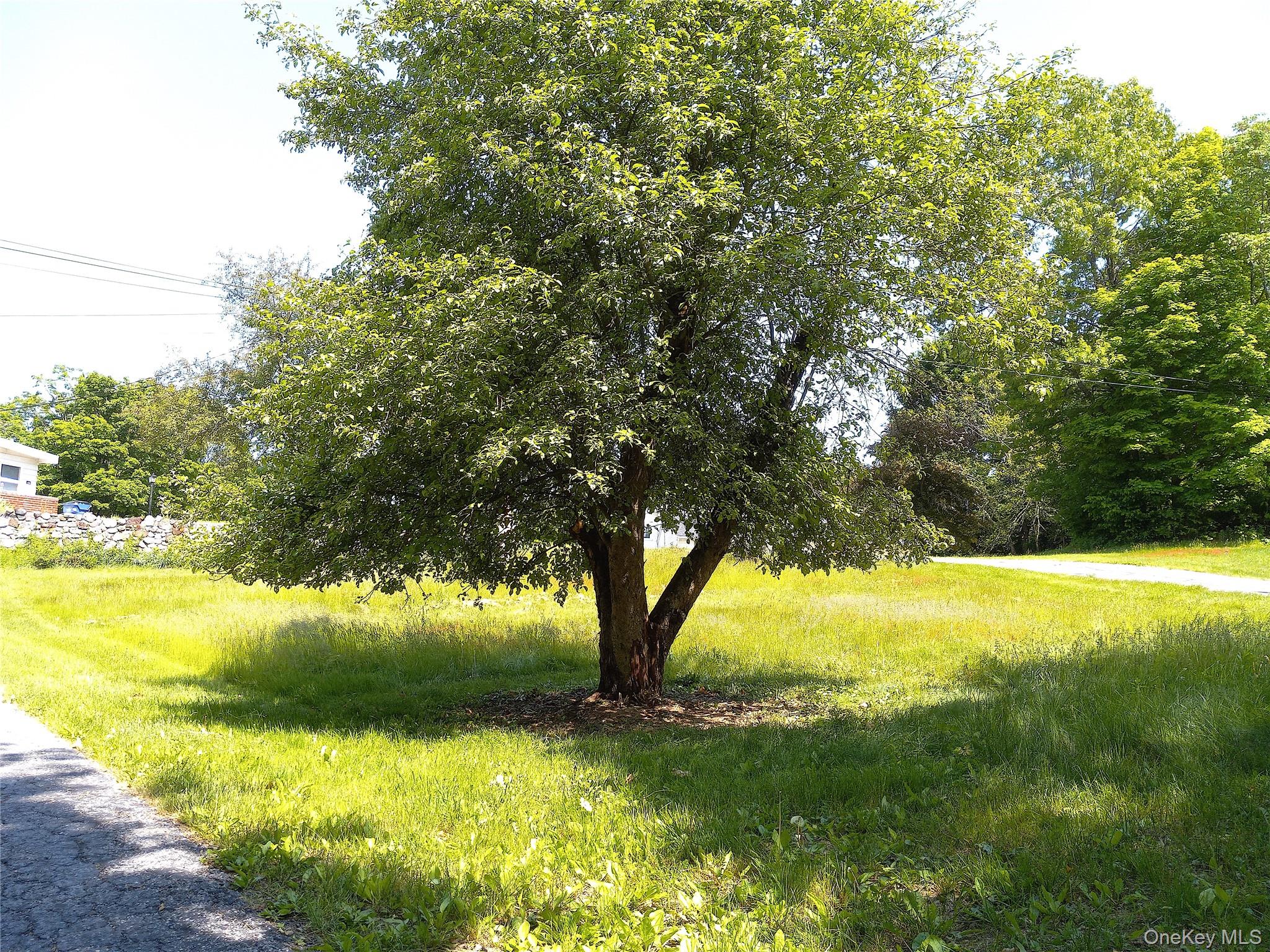 #3 photo, 220-224 Hobbs Lane, Clinton Corners , NY 12514