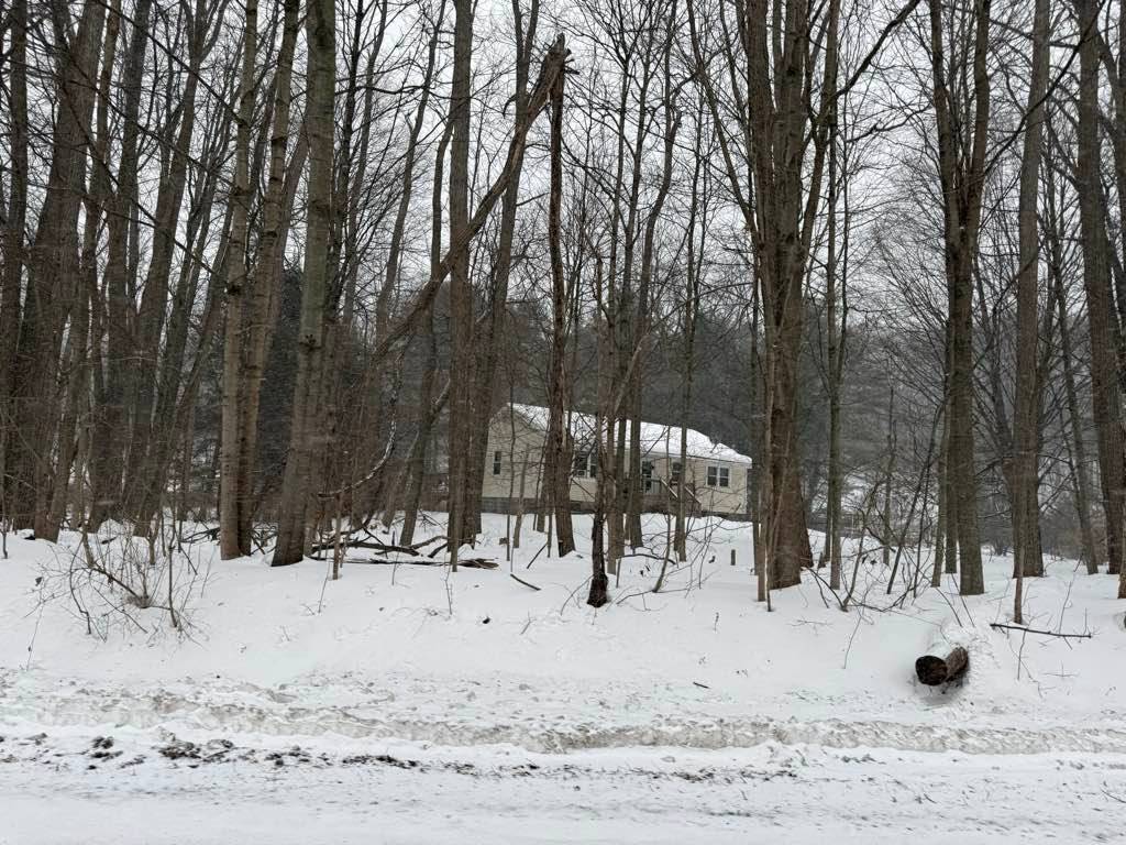 #4 photo, 11 Creekside Lane, South Cairo , NY 12482