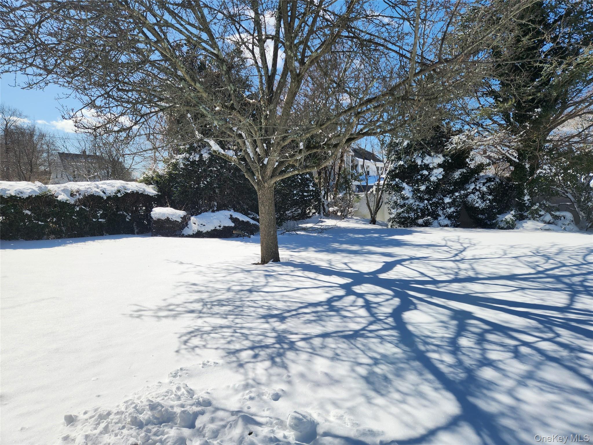 #15 photo, 268 Locust Avenue, Freeport , NY 11520