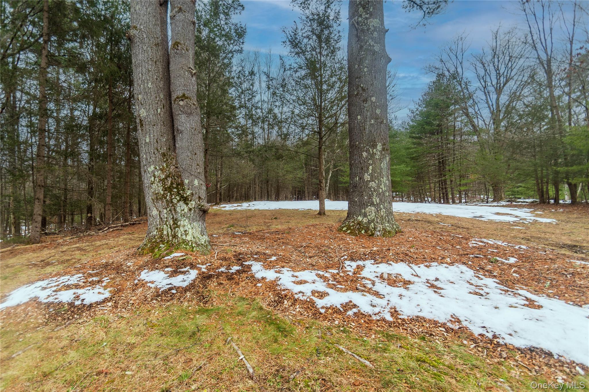 #8 photo, 183 Mill Road, Olivebridge , NY 12461