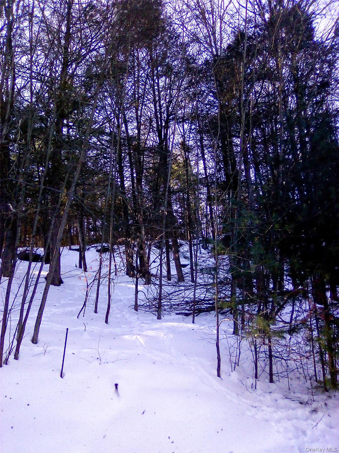 #17 photo, 29 Schultz Road, Monticello , NY 12720