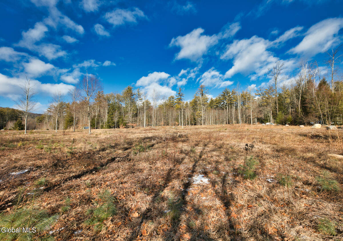 #2 photo, 3981 N Shore Road, #2A, 뉴욕주 Hadley , NY 12835