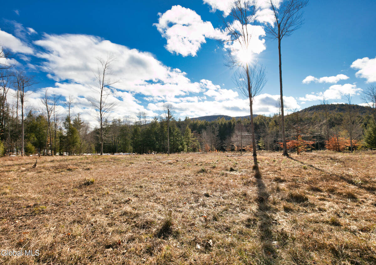 #3 photo, 3981 N Shore Road, #2A, 뉴욕주 Hadley , NY 12835