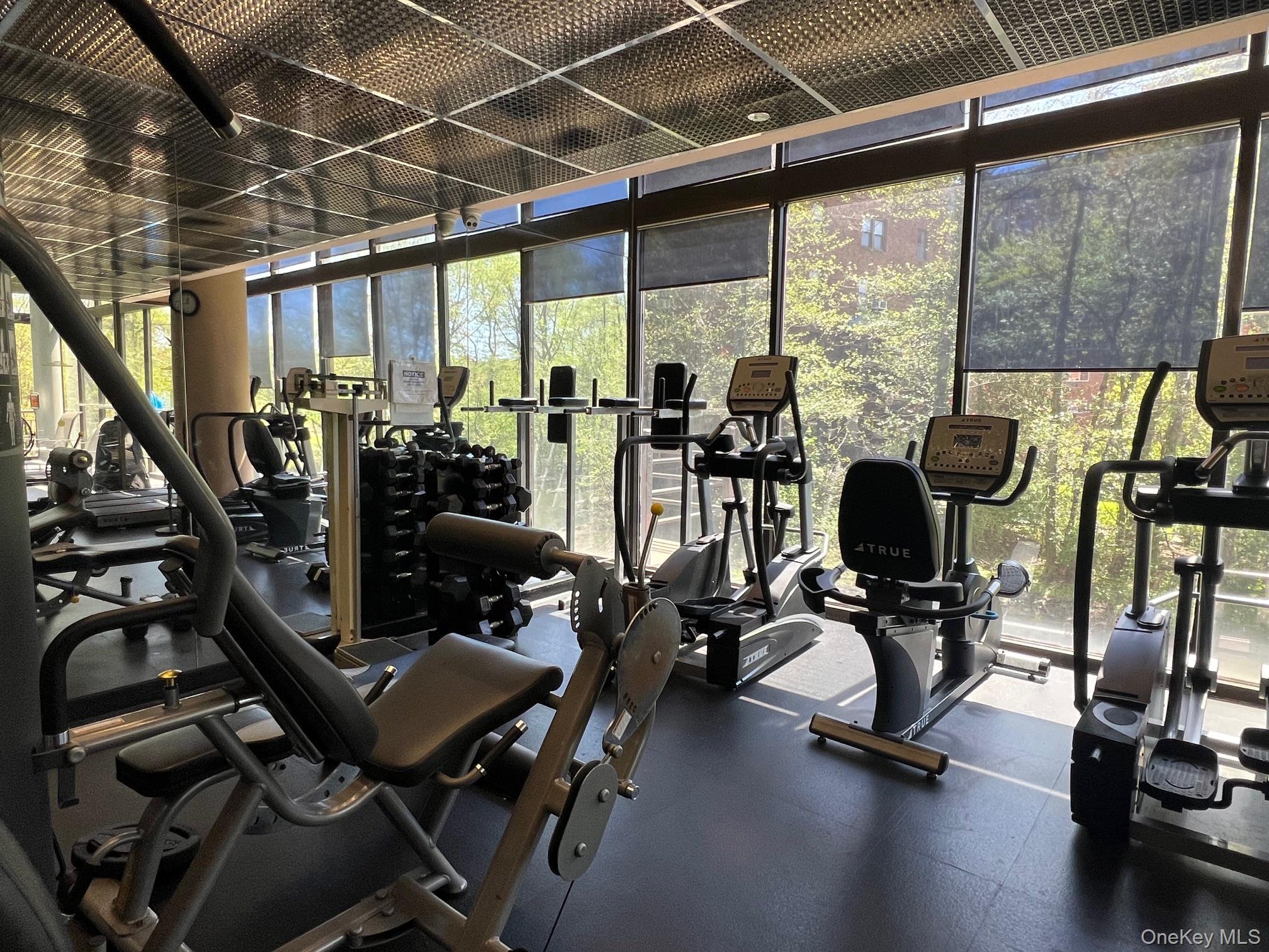 #15 photo, 50 E Hartsdale Avenue, Hartsdale , NY 10530