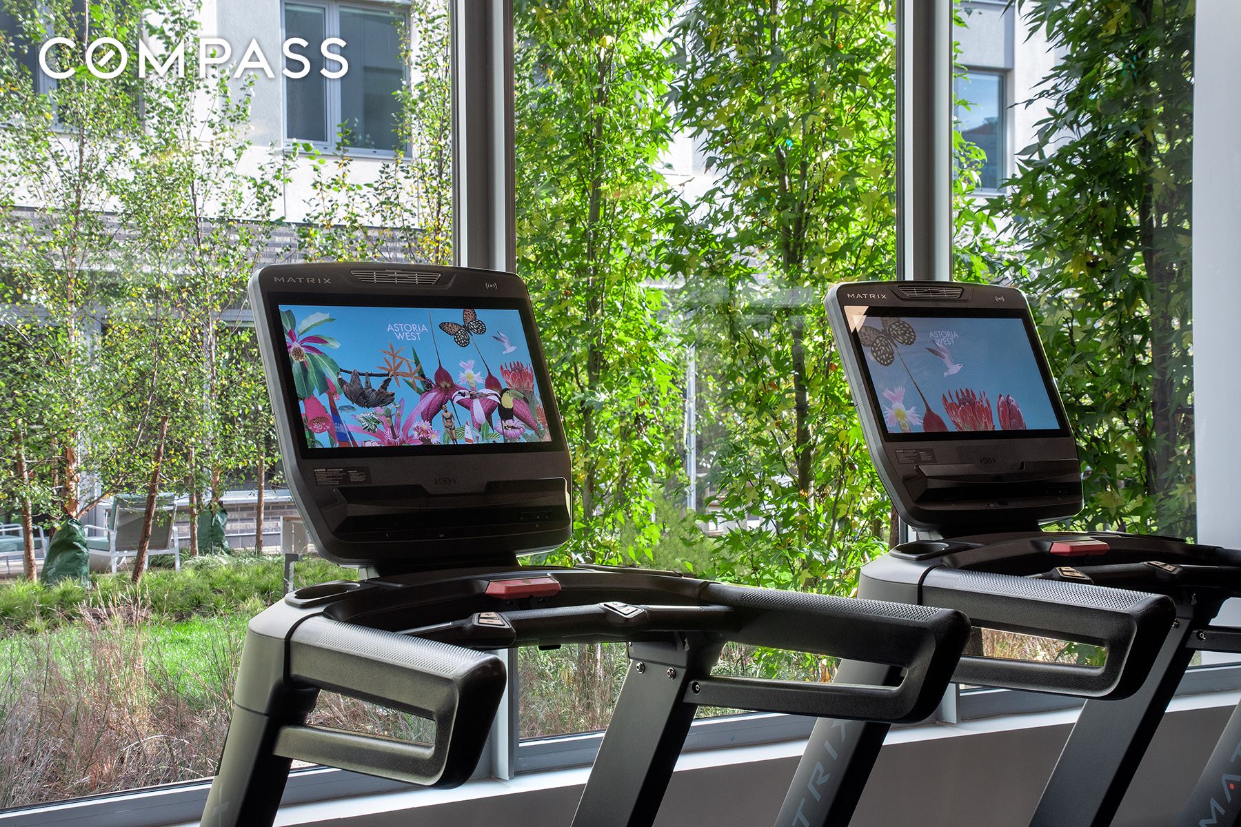 #13 photo, Astoria, Astoria , NY 11102