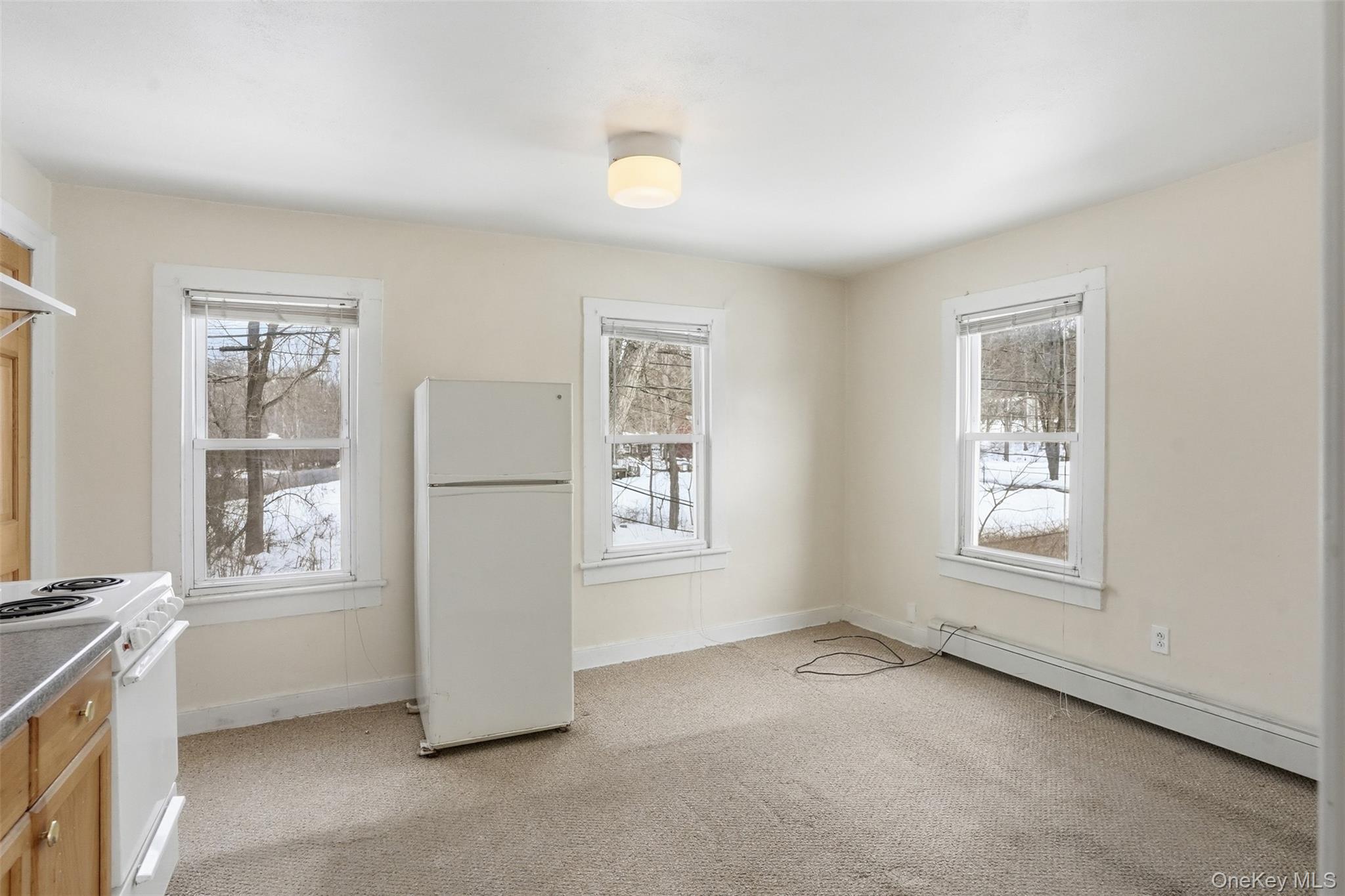 #15 photo, 116-118 Carpenter Road, Hopewell Junction , NY 12533