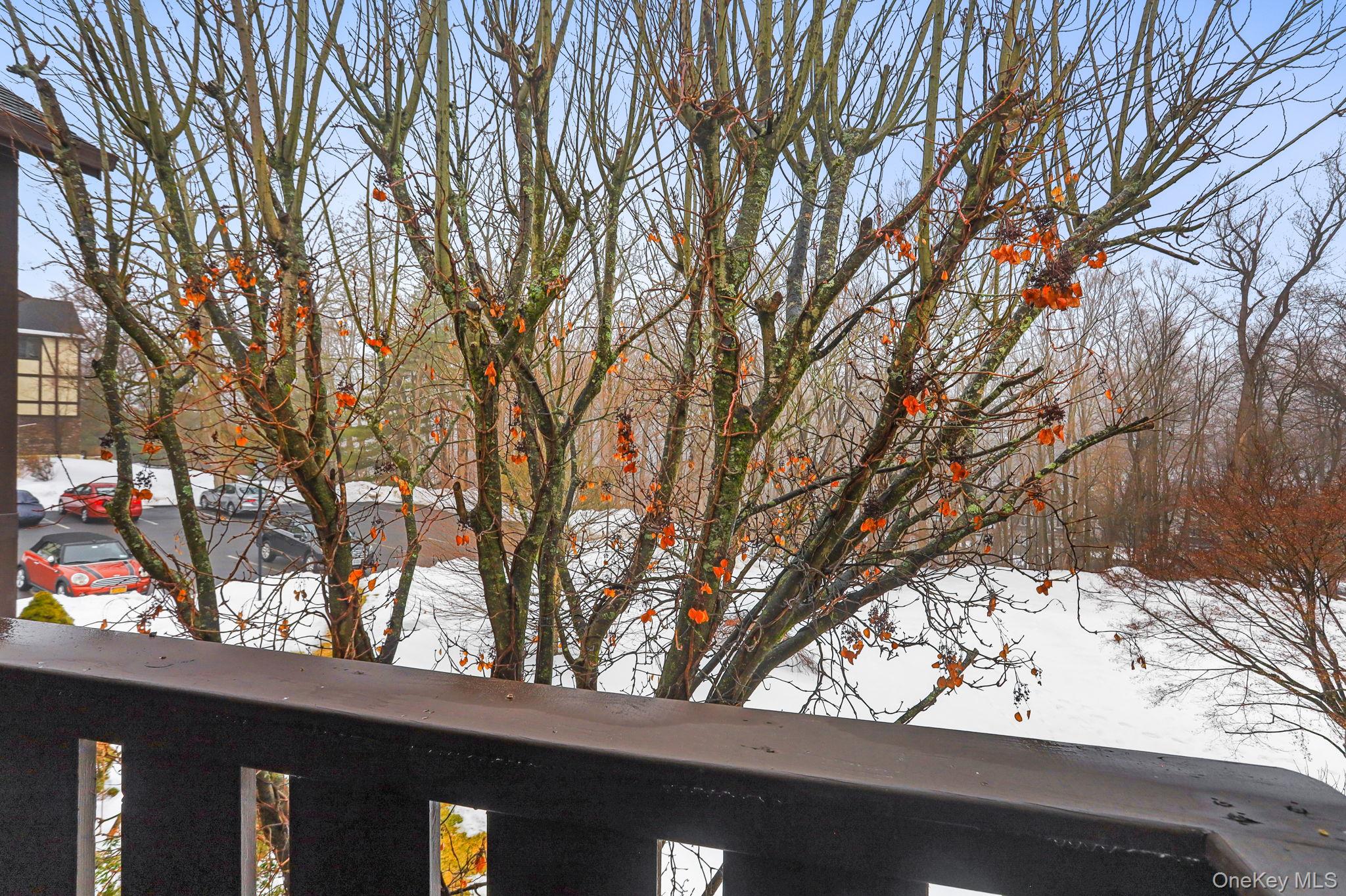 #19 photo, 64 Foxwood Drive, Pleasantville , NY 10570