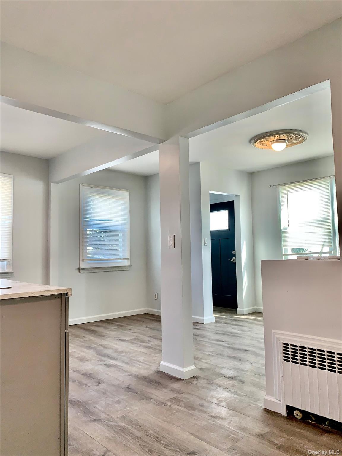 #9 photo, 336 Scranton Avenue, 长岛 Lynbrook , NY 11563