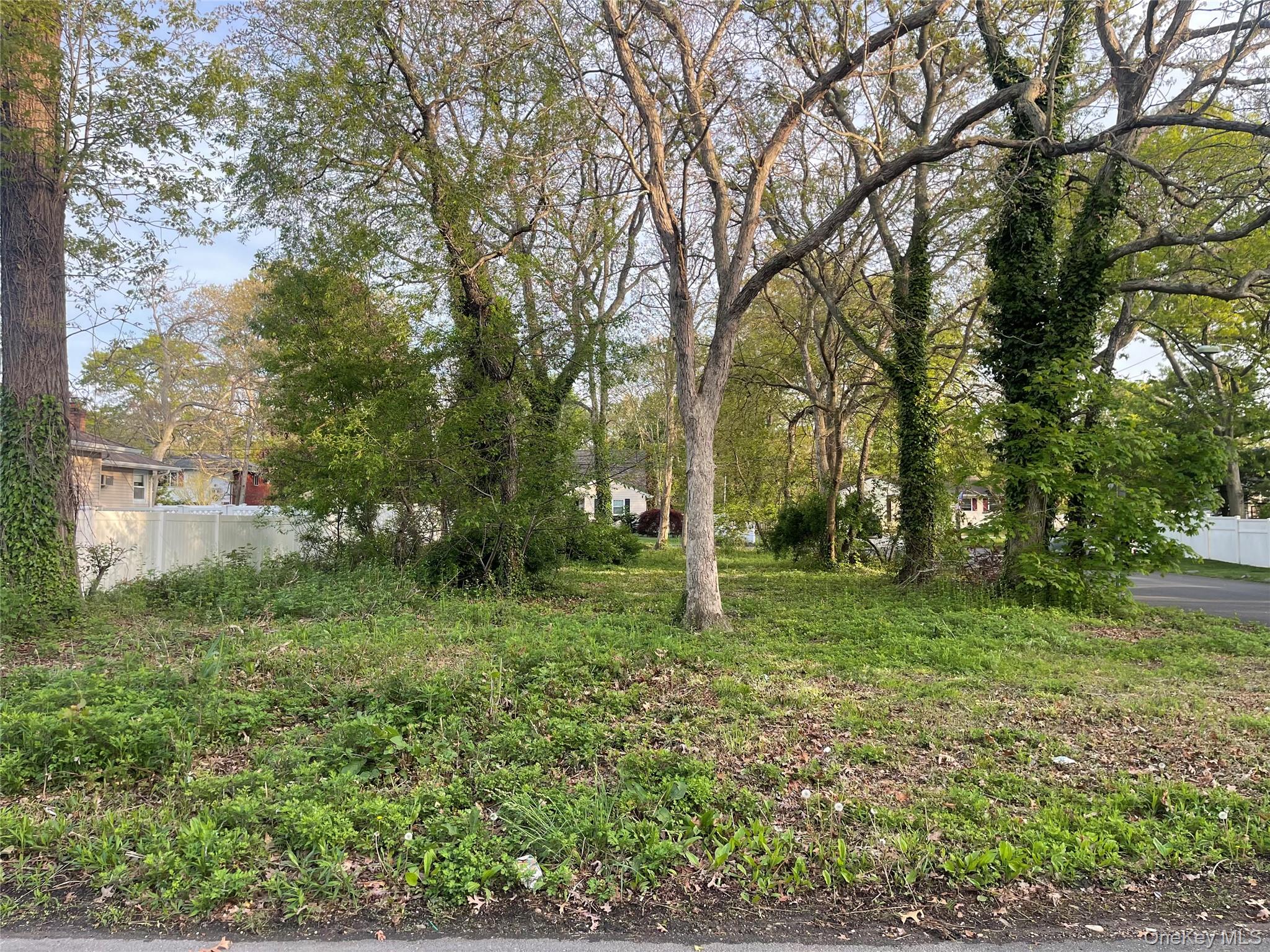 #2 photo, Johnson Avenue, Ronkonkoma , NY 11779