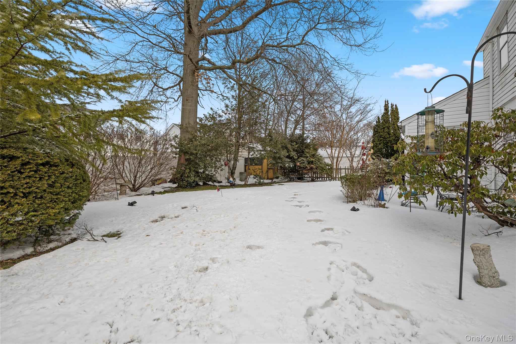 #13 photo, 43 MacDonald Street, নাসাউ কাউন্টি Hempstead , NY 11550