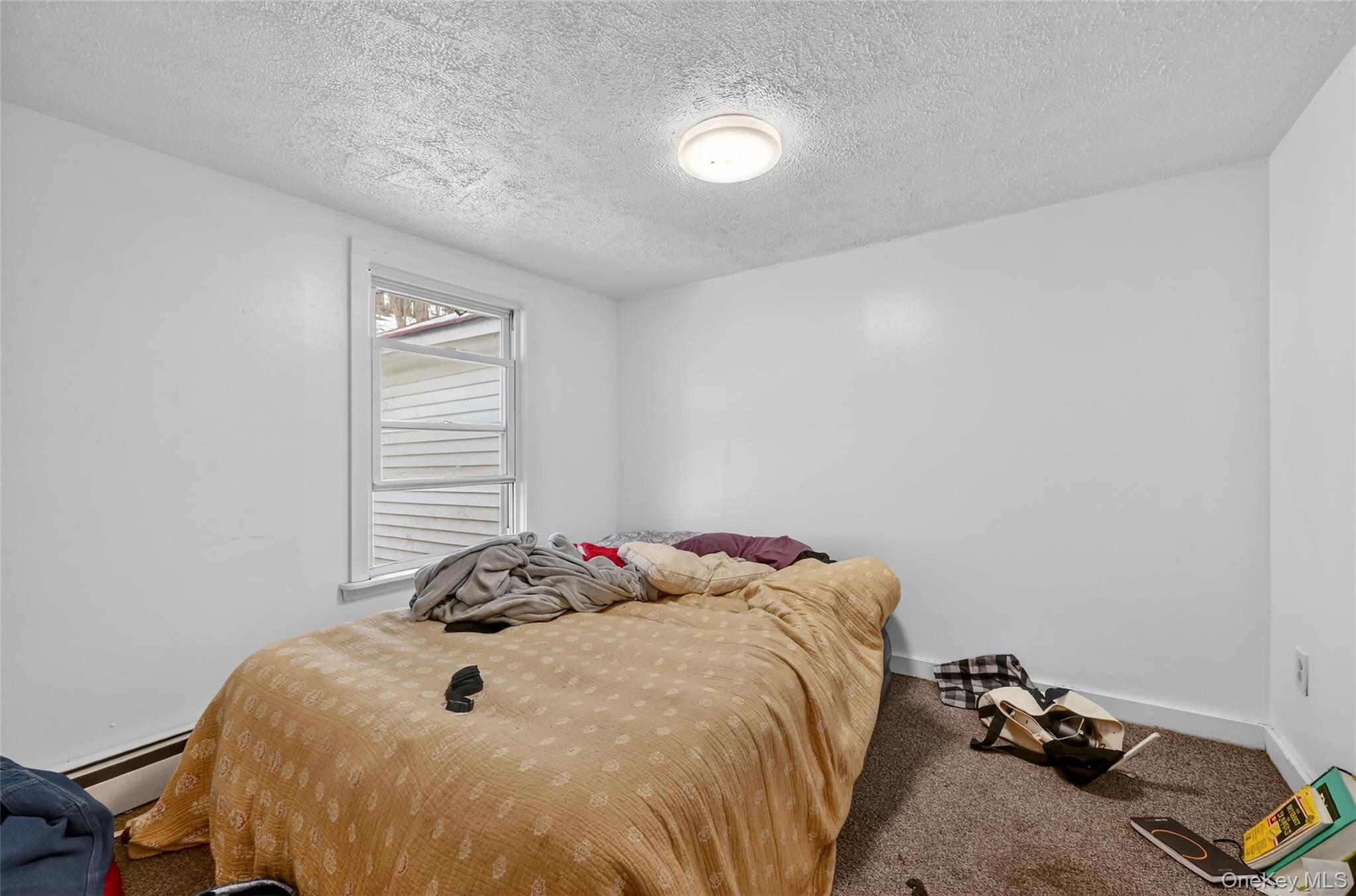 #11 photo, 21 Nevins Street, 뉴욕주 Ellenville , NY 12428