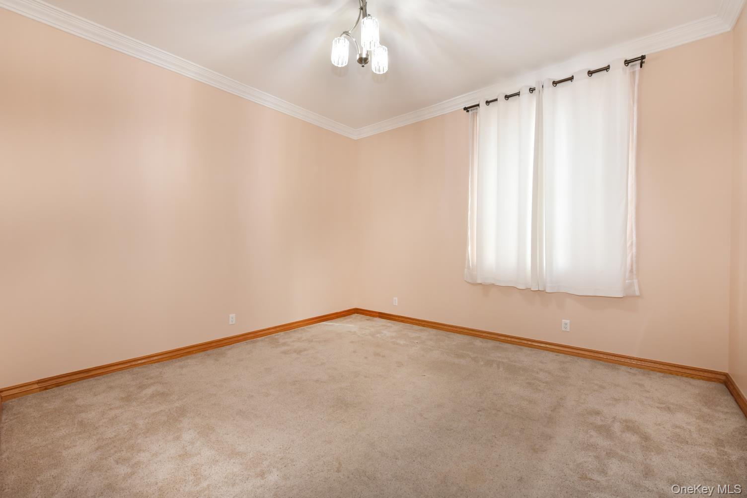 #13 photo, 84-29 Kendrick Place, কুইন্‌স Jamaica Estates , NY 11432