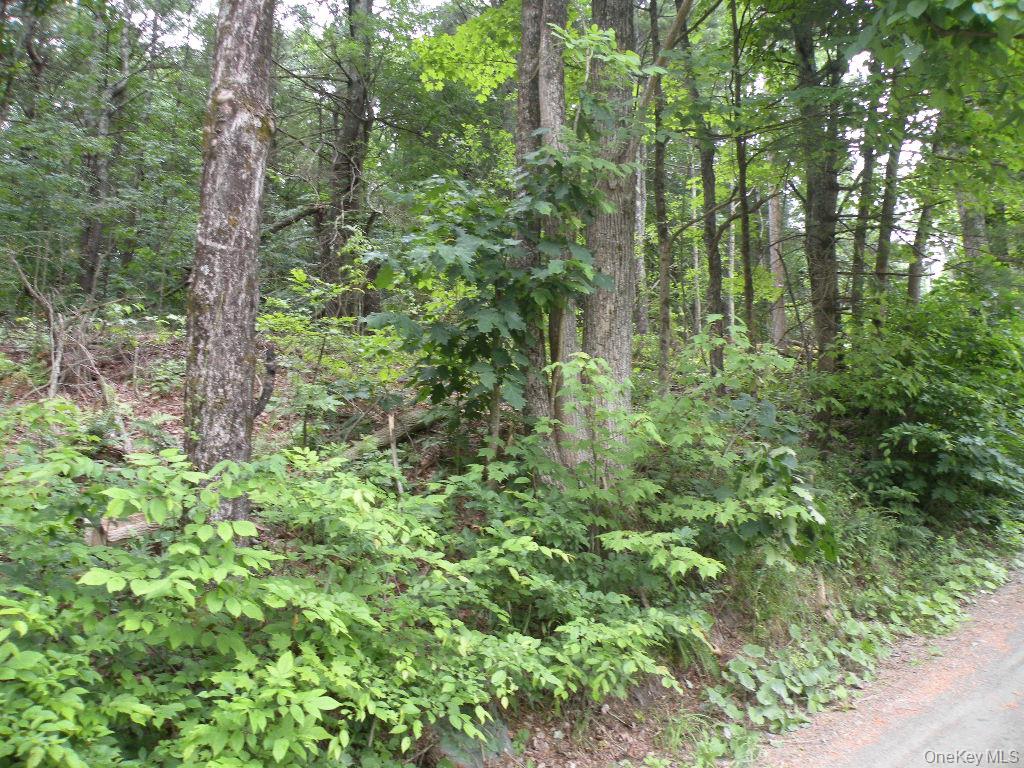 #1 photo, Frenchs Hill Rd, New Lebanon , NY 12125