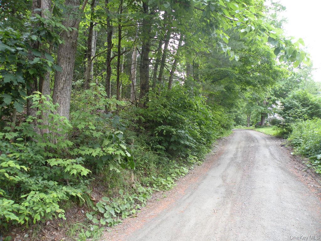 #2 photo, Frenchs Hill Rd, New Lebanon , NY 12125