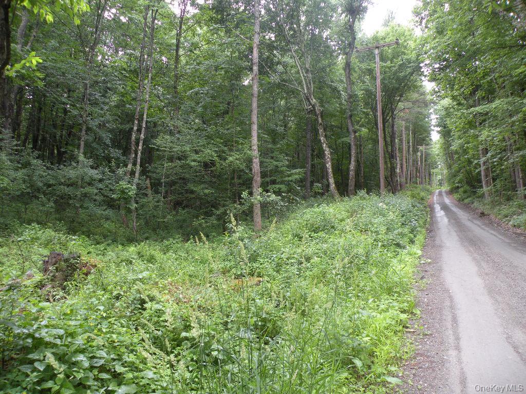 #3 photo, Frenchs Hill Rd, New Lebanon , NY 12125