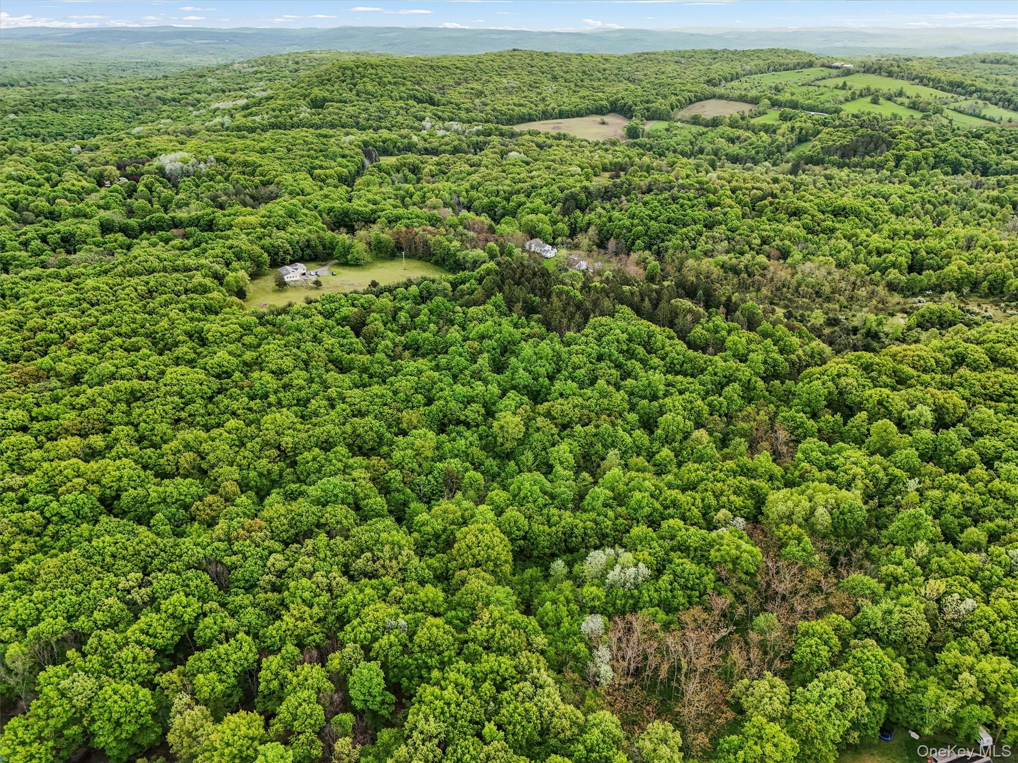 #6 photo, Quarfelt Road, Clinton Corners , NY 12514