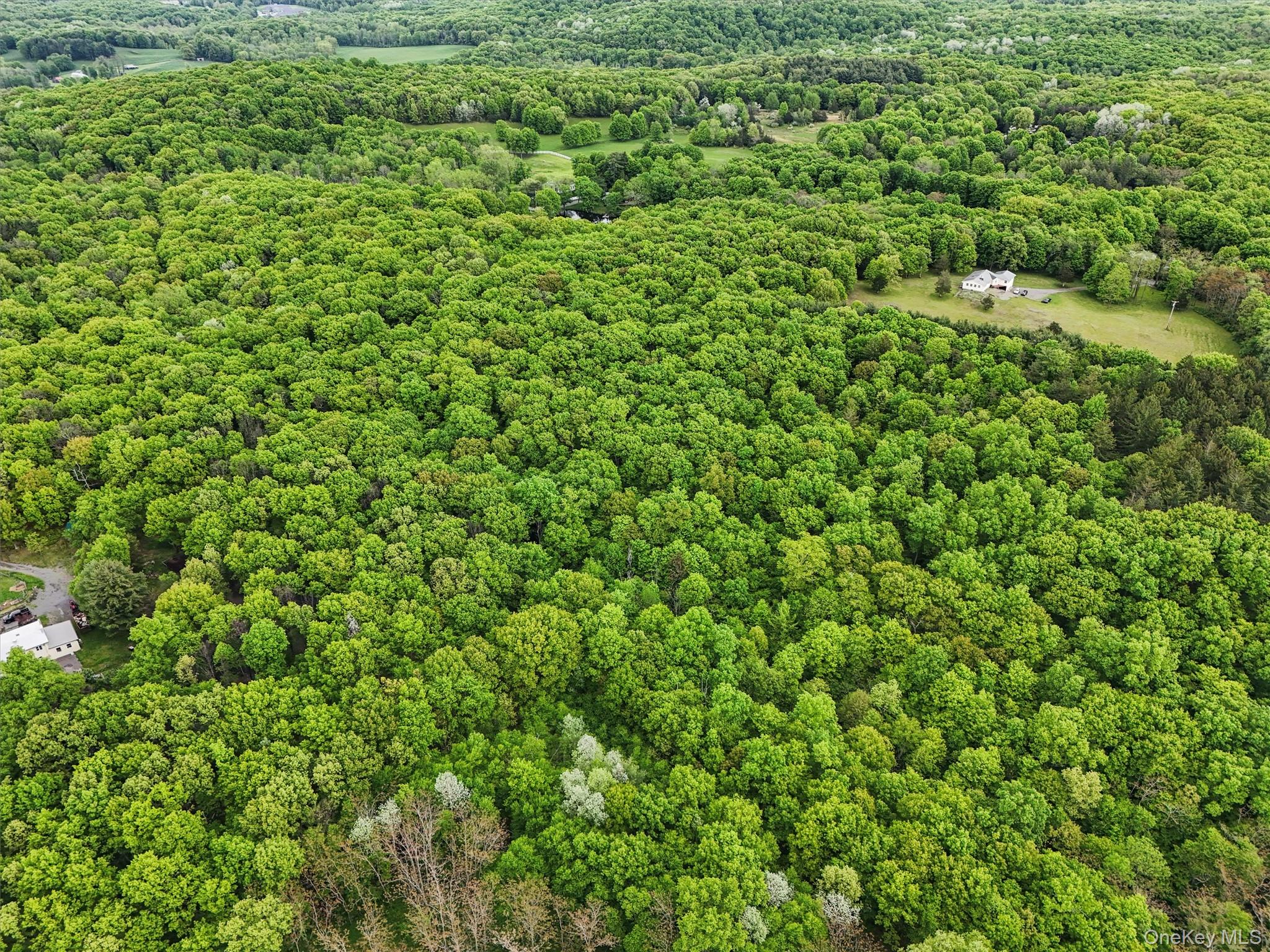 #7 photo, Quarfelt Road, Clinton Corners , NY 12514