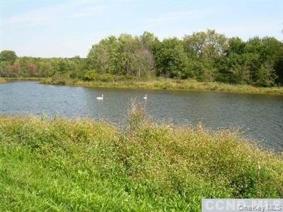 #5 photo, County Route 19, Hudson , NY 12534