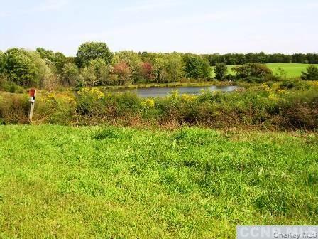 #8 photo, County Route 19, Hudson , NY 12534