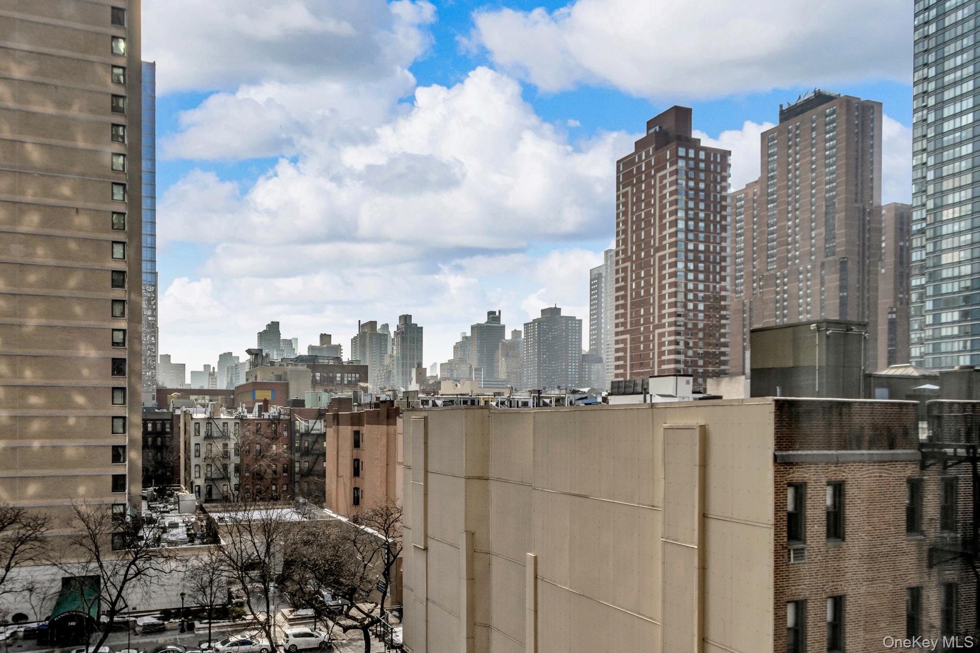 #6 photo, 345 E 93rd Street, New York (Manhattan) , NY 10128