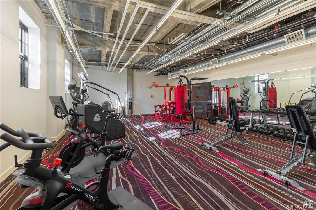 #16 photo, 121 Westmoreland Avenue, White Plains , NY 10606