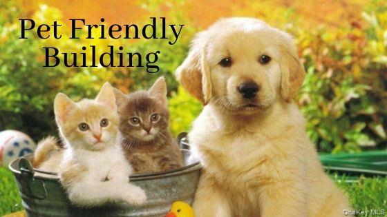 #15 photo, 1 Franklin Avenue, 뉴욕주 White Plains , NY 10601