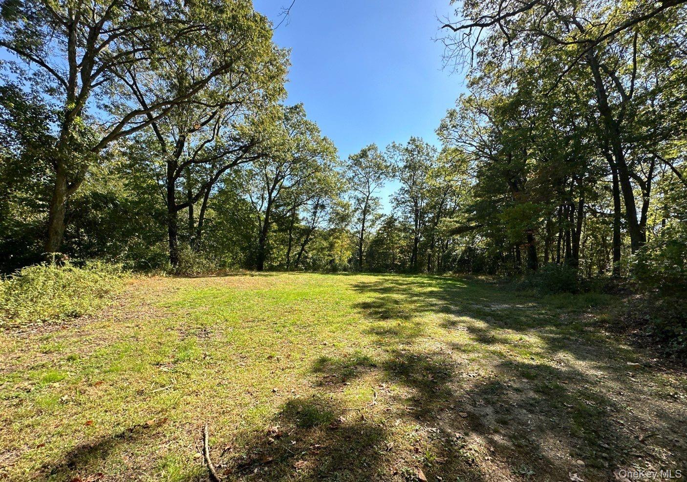 #9 photo, 55 Juneau Boulevard, Woodbury , NY 11797