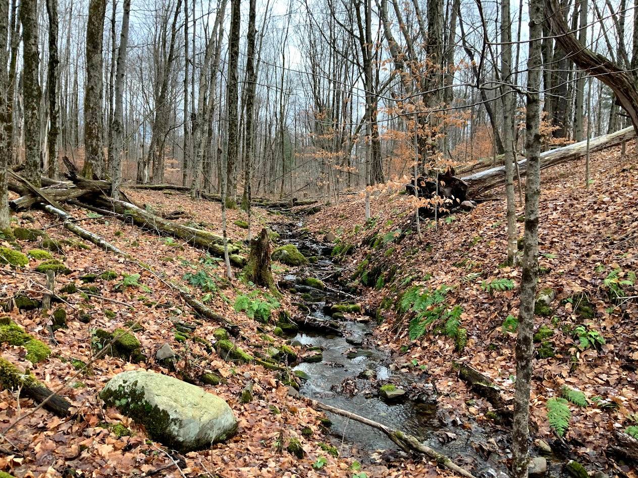 #10 photo, 2828 County Route 22, Richland , NY 13144