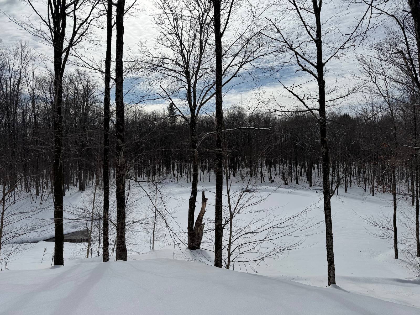 #24 photo, 2828 County Route 22, Richland , NY 13144