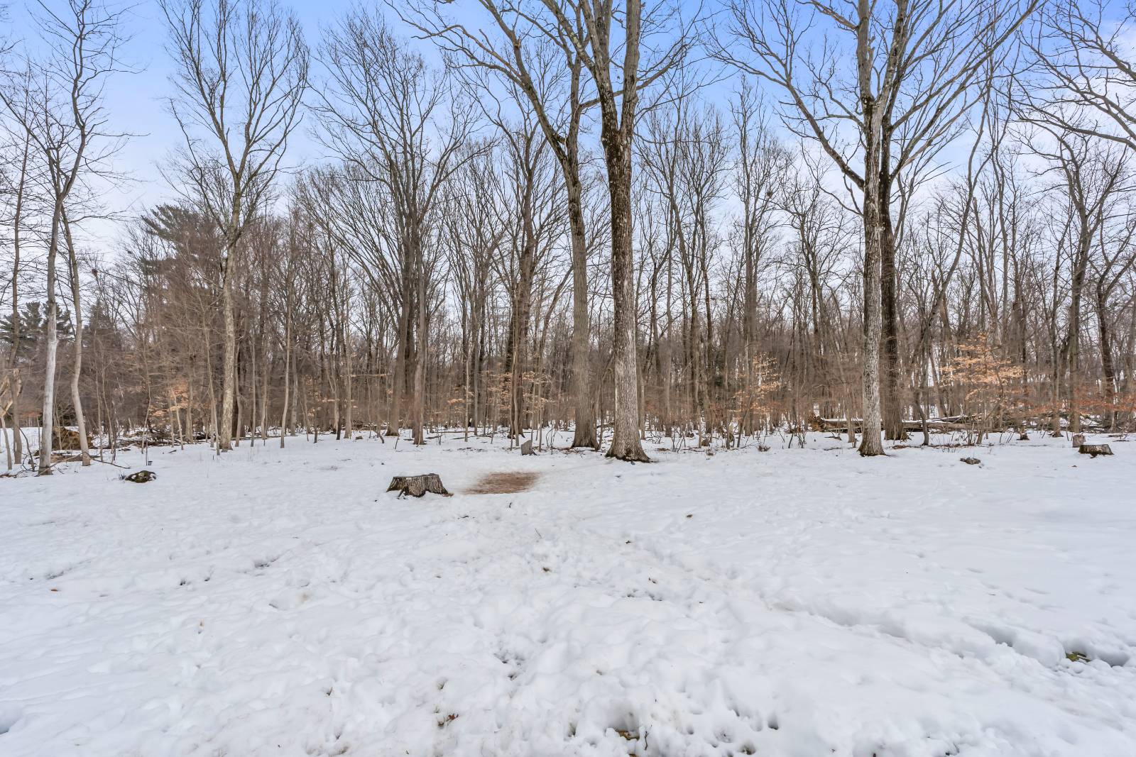 #46 photo, 15 Maywood Dr, Schenectady , NY 12302