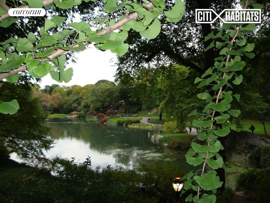 #5 photo, New York City, Central Park South , NY 10019