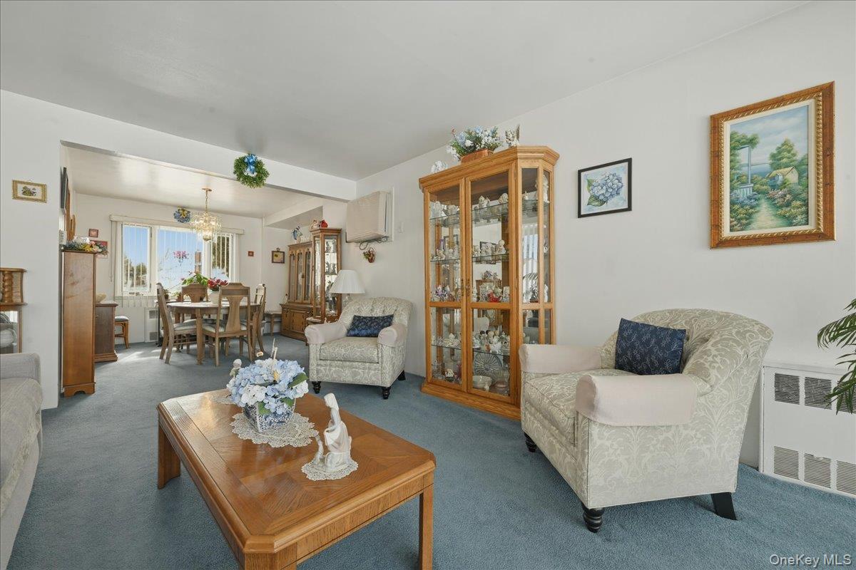 #8 photo, 366 Clearmeadow Drive, מחוז נסאו East Meadow , NY 11554