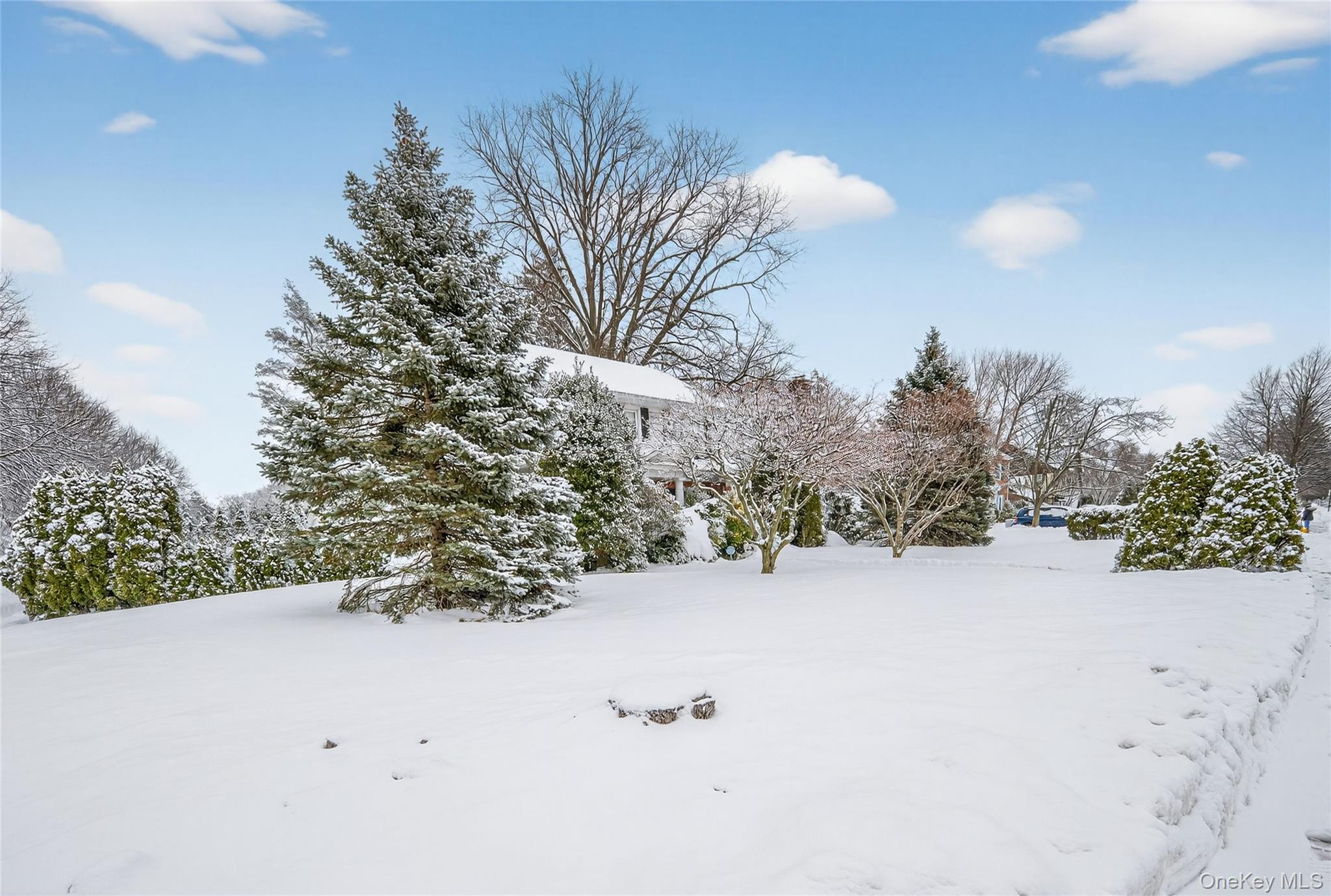 #2 photo, 225 Nassau Boulevard, 롱 아일랜드 Garden City , NY 11530