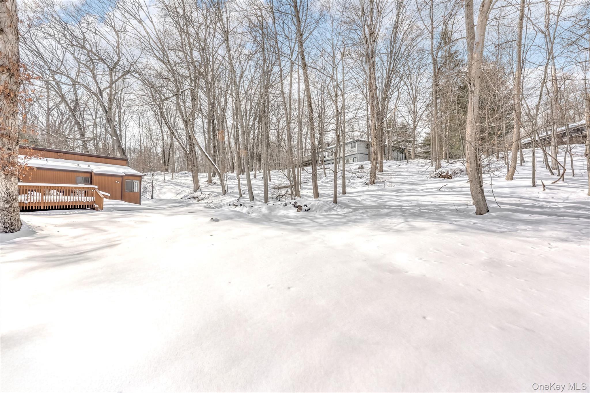 #5 photo, 66 Tamarack Lane, Pomona , NY 10970