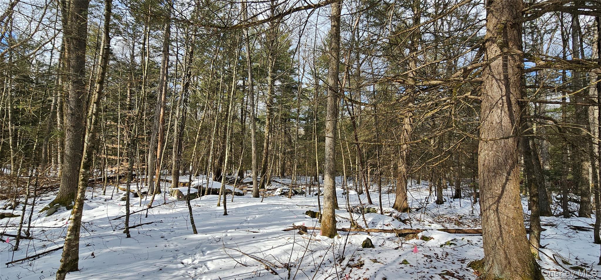 #10 photo, Lot 82 Perry Pond Road, Narrowsburg , NY 12764