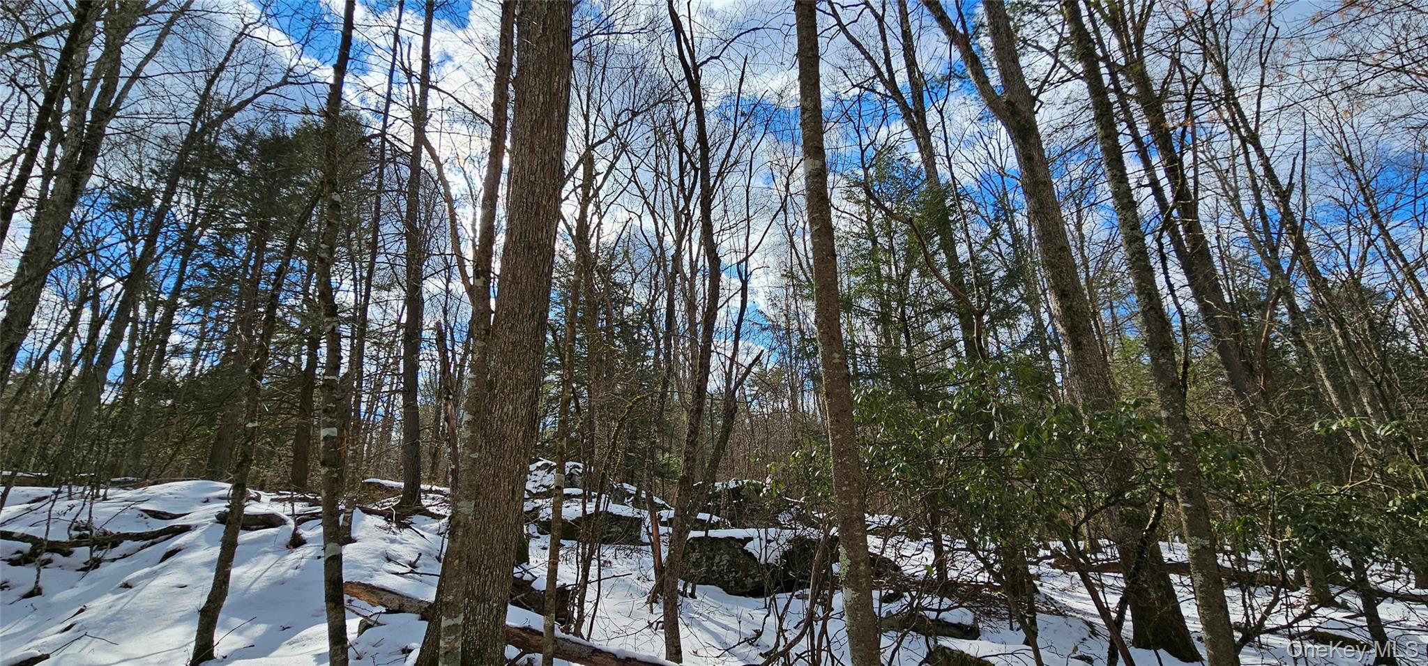 #11 photo, Lot 82 Perry Pond Road, Narrowsburg , NY 12764