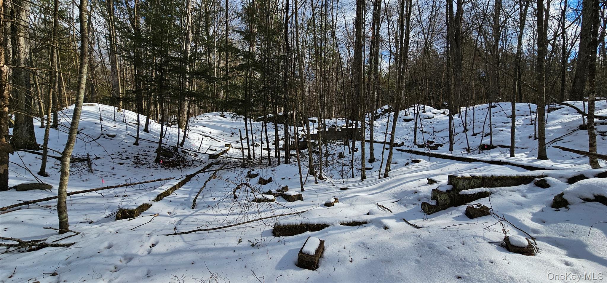 #12 photo, Lot 82 Perry Pond Road, Narrowsburg , NY 12764