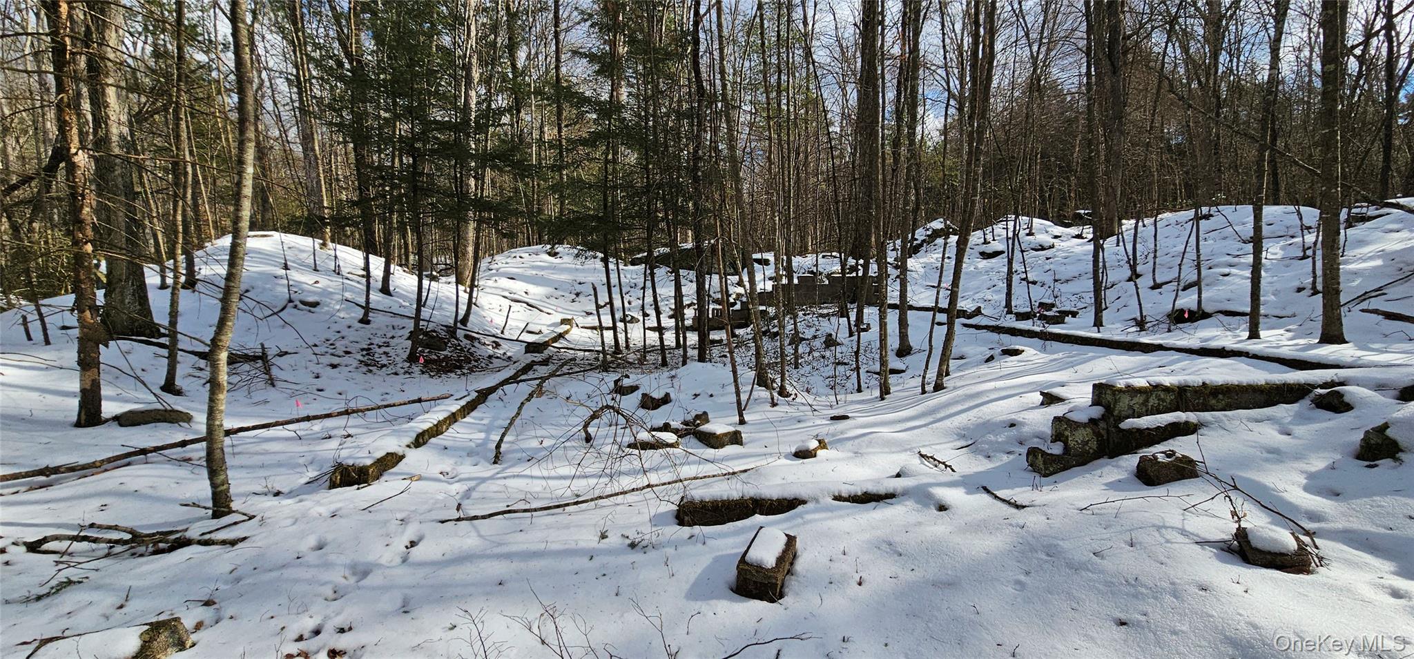 #13 photo, Lot 82 Perry Pond Road, Narrowsburg , NY 12764