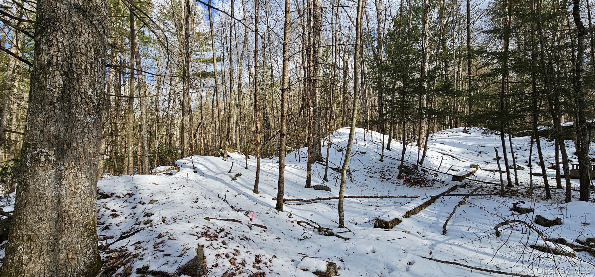 #14 photo, Lot 82 Perry Pond Road, Narrowsburg , NY 12764