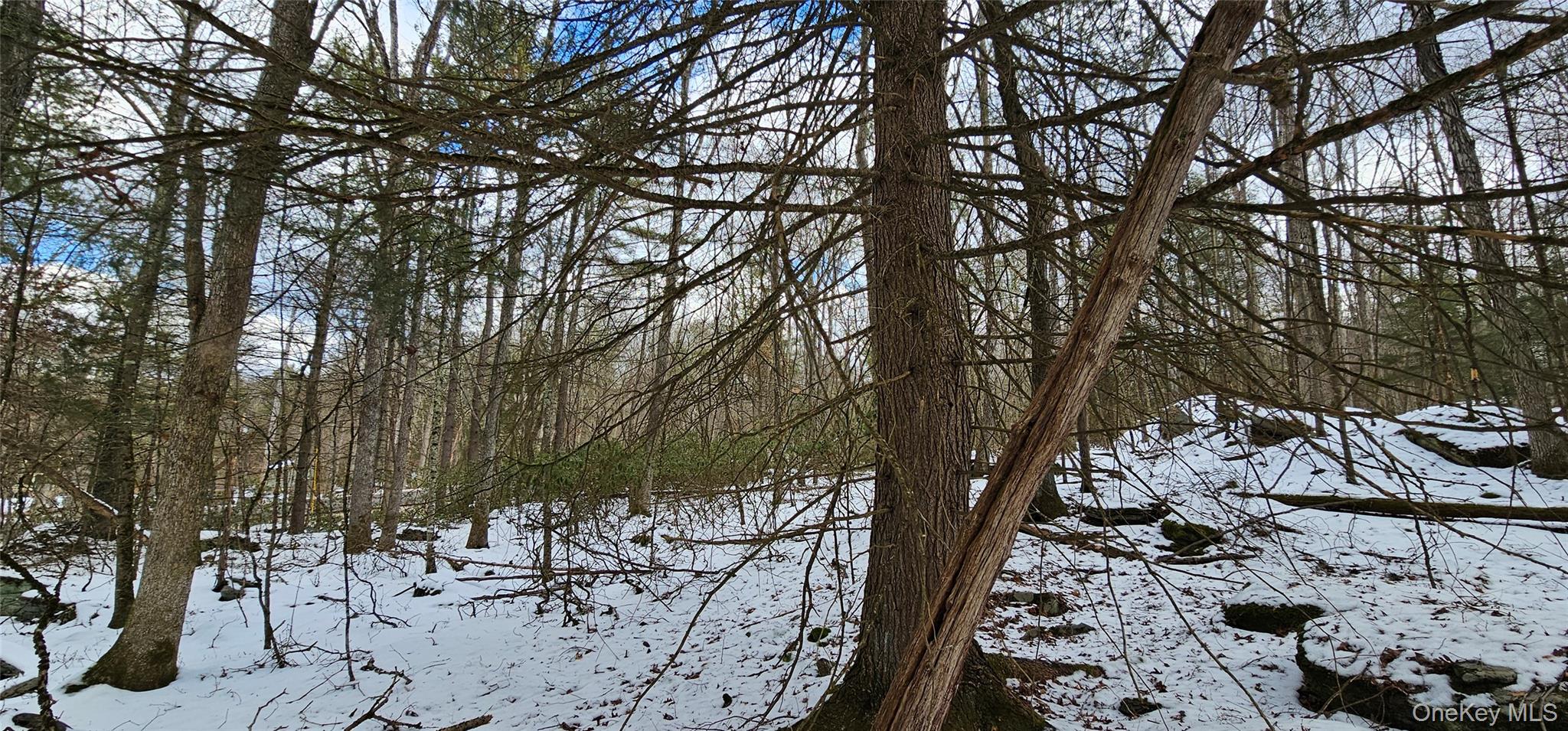 #15 photo, Lot 82 Perry Pond Road, Narrowsburg , NY 12764